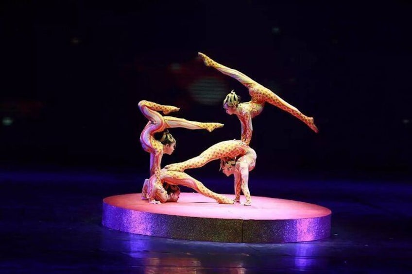 Beijing Evening Tour: Chaoyang Acrobatic Show with Peking Duck Dinner