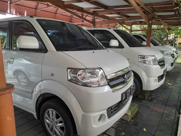 Private Standard Car: Full-Day Charter with Guide