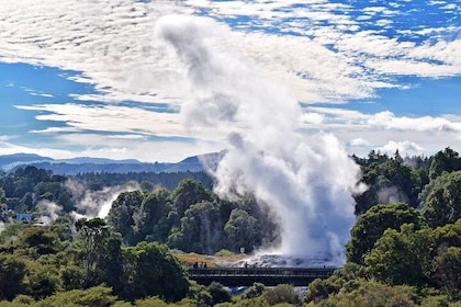 Private And Exclusive Day Trip Transport To Rotorua