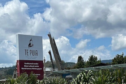 Private Day Trip Transport To Te Puia Rotorua