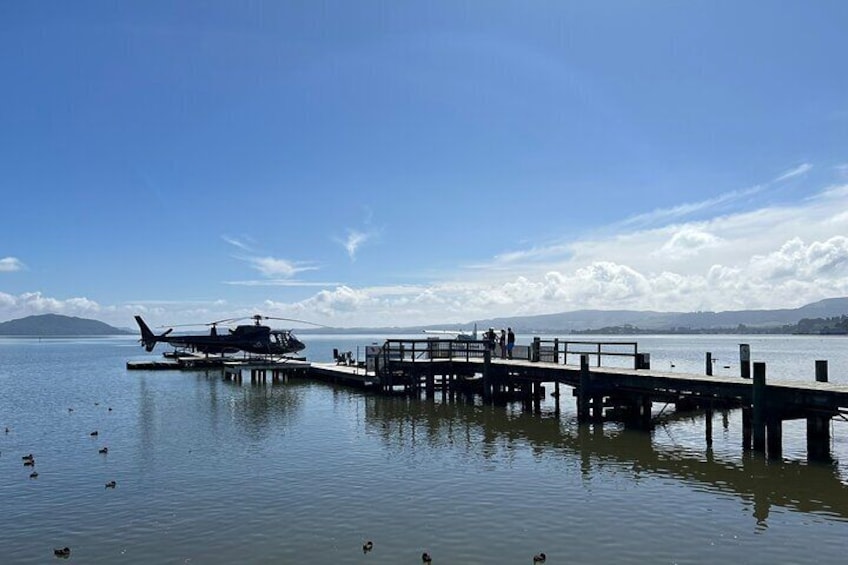 Private Day Trip Transport To Te Puia Rotorua