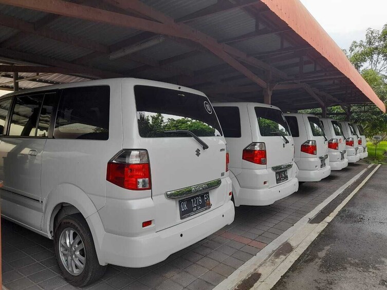 Private Minibus: Full-Day Charter with Guide