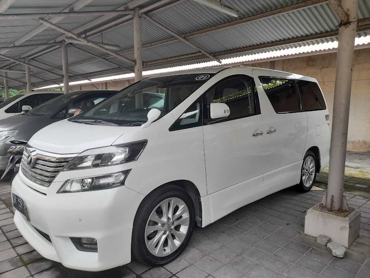 Private Minibus: Full-Day Charter with Guide