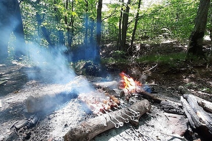 Barbecue in the forest near Tbilisi