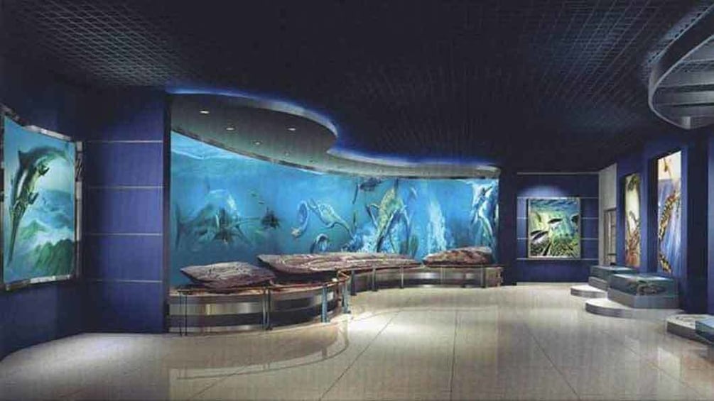 aquarium seating area in china