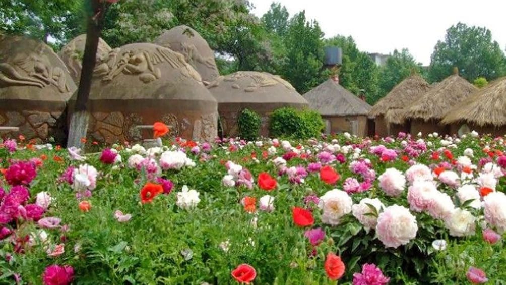flowers blooming near village huts in Xi'an