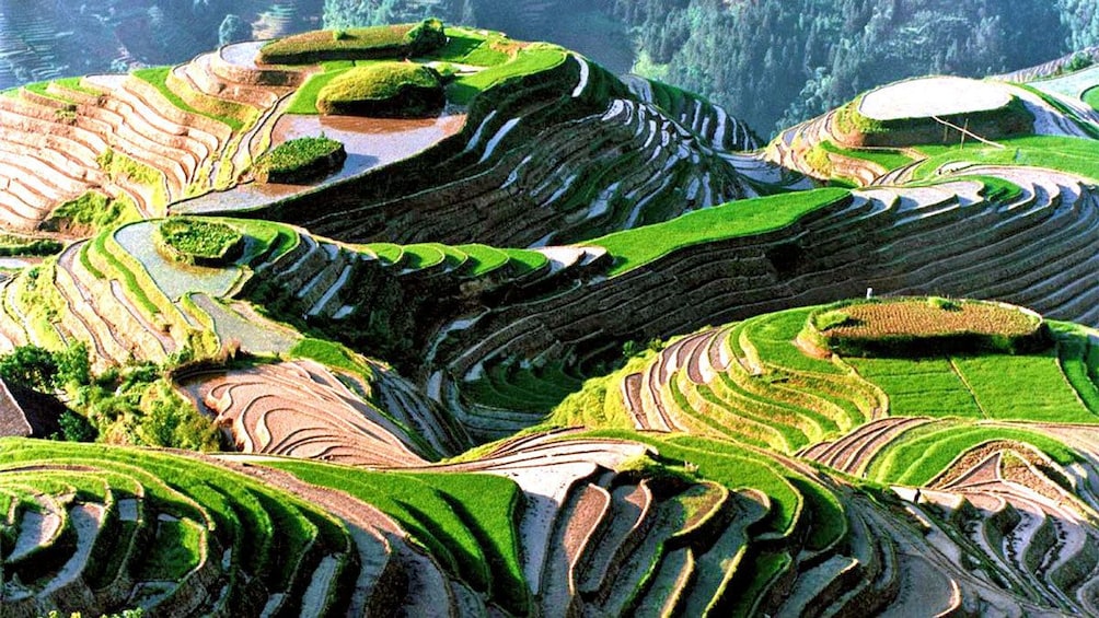 stepped farmland in the mountains of Xi'an