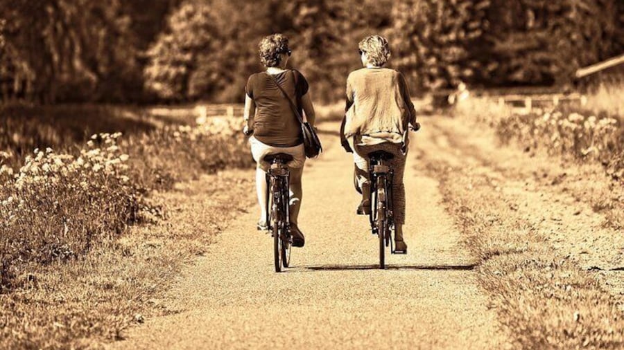 1 Hour Trolley Tour and Bike Rentals in Jefferson, Texas