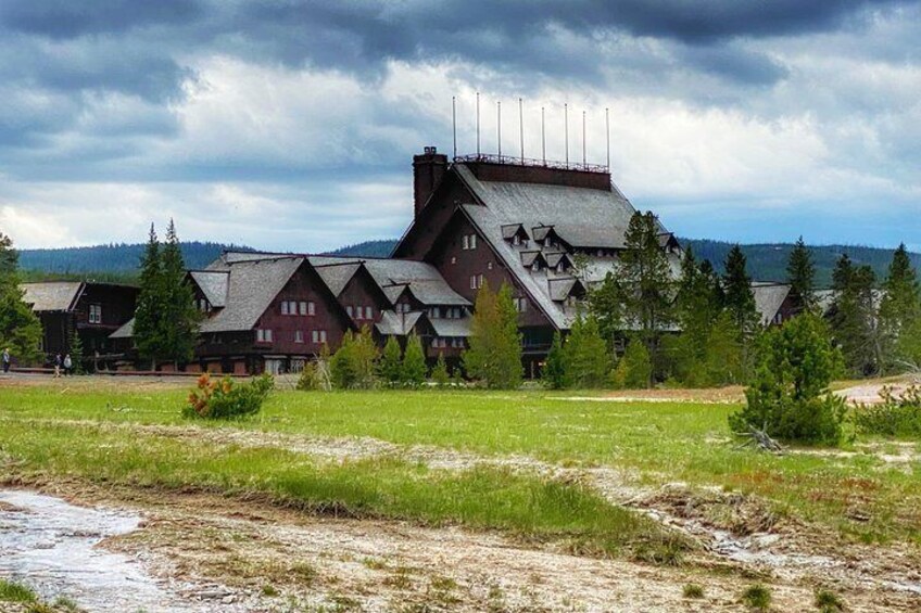 VIP Safari of Yellowstone from West Yellowstone