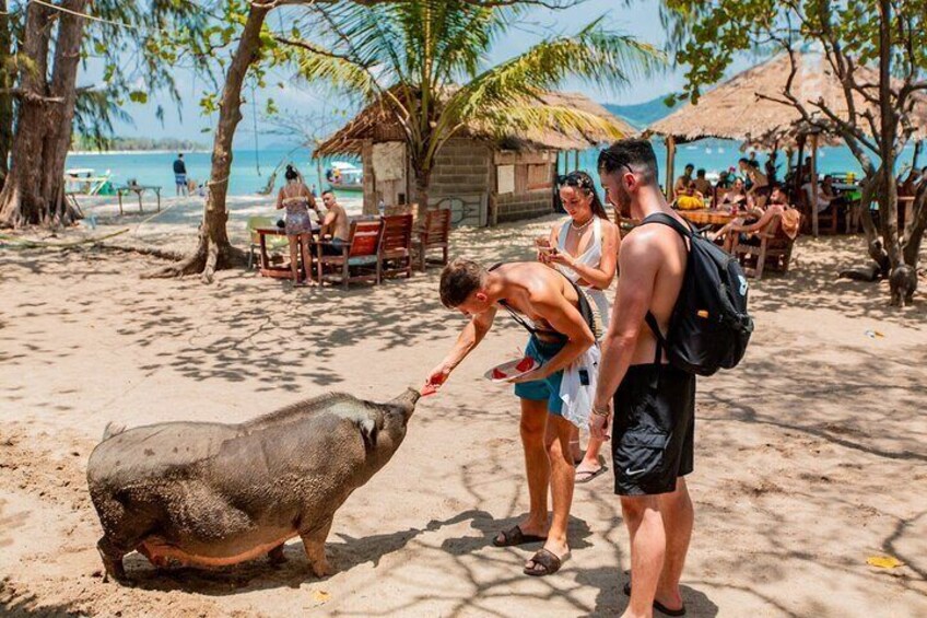 Pig Island Snorkeling & Sightseeing Tour By Speedboat From Koh Samui