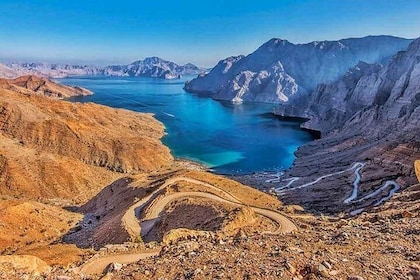 Half Day Cruise & Half Day Mountain Safari with Picnic Lunch (Shore Excursi...