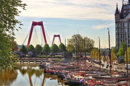 Rotterdam Discovery Walk: Iconic Markets & Modern Marvels