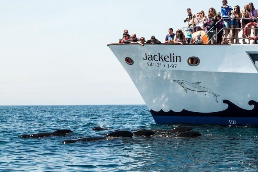Jackeline ship