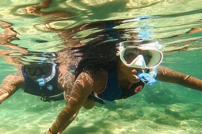 Learn to Snorkel with Fish and Turtles