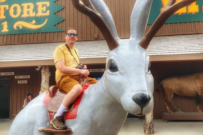 VIP Day Trip to Mt. Rushmore, Custer State Park, and The Badlands