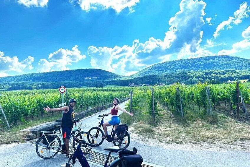 Through Alsace Vineyards and Wine Villages Private Bike Tour