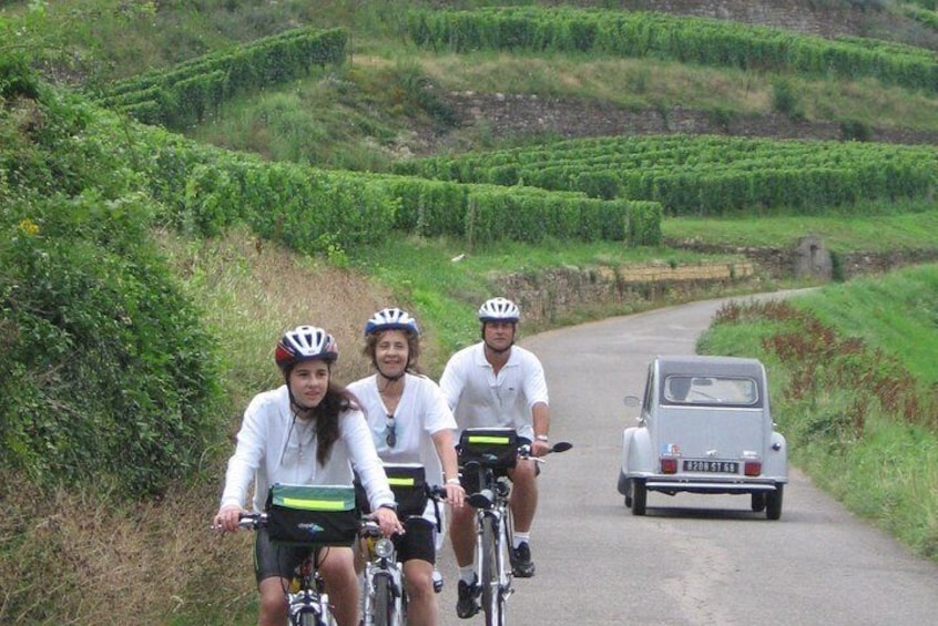 Through Alsace Vineyards and Wine Villages Private Bike Tour