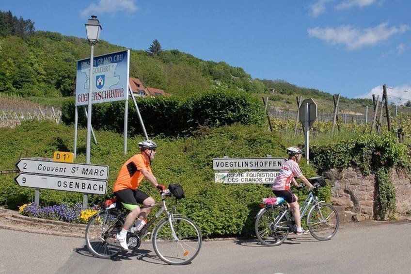 Through Alsace Vineyards and Wine Villages Private Bike Tour