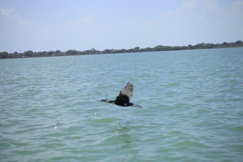 2 days tour package in Bahir Dar