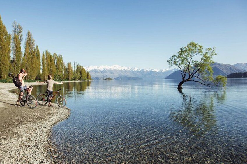 7 Day South Island Tour (All inclusive)