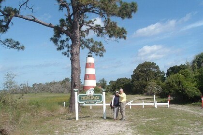 Half Day Sapelo Island Tour Beaches, Lighthouse, Mansion, Marine Institute