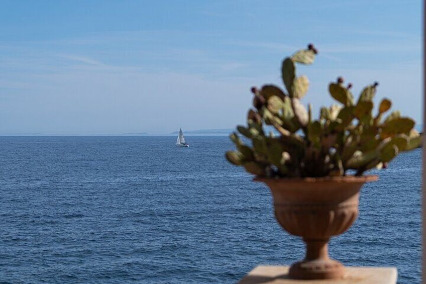 Cooking class in a charming villa in front of the sea