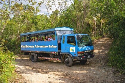 Excursión cultural y de aventura de safari ecológico de día completo