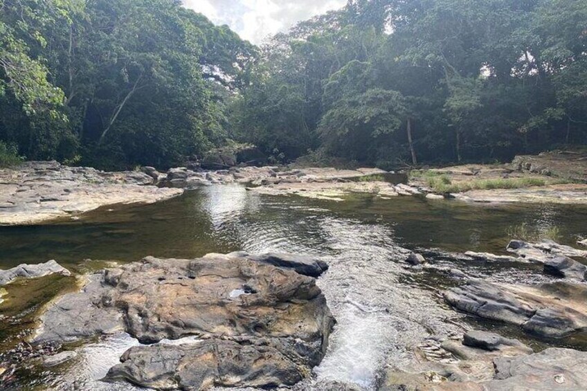 Full Day Eco Safari Adventure