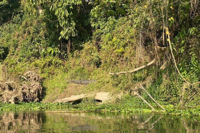 3 Nights 4 Days Comfortable Chitwan Safari Tour