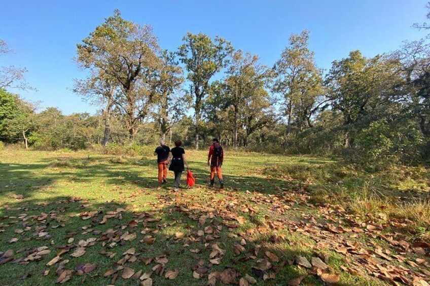3 Nights 4 Days Comfortable Chitwan Safari Tour