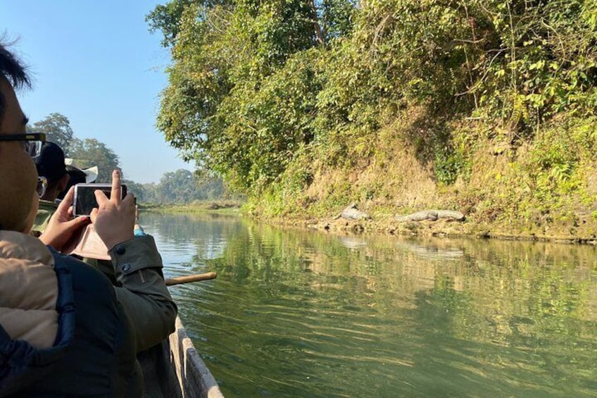 3 Nights 4 Days Comfortable Chitwan Safari Tour