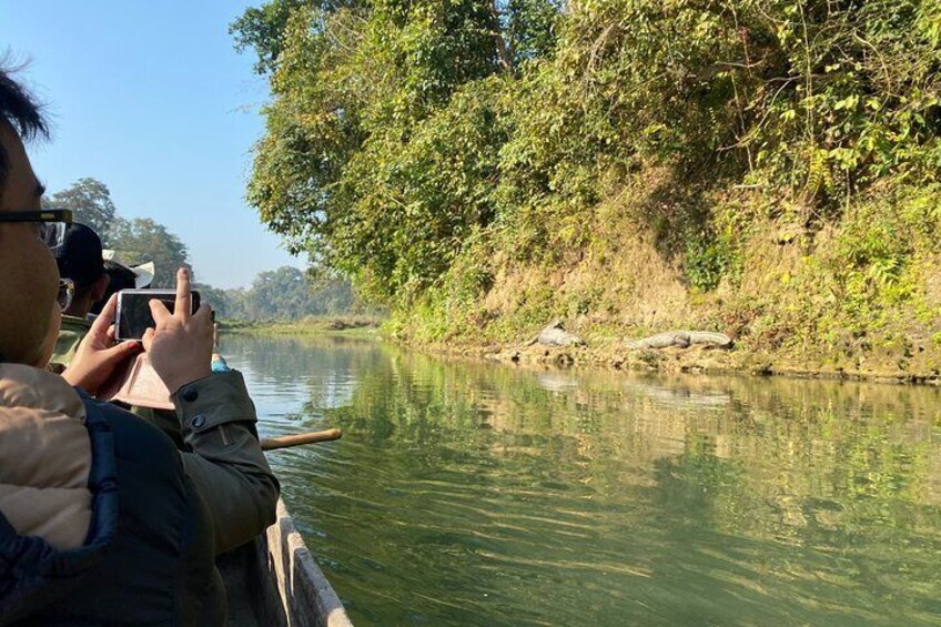 3 Nights 4 Days Comfortable Chitwan Safari Tour
