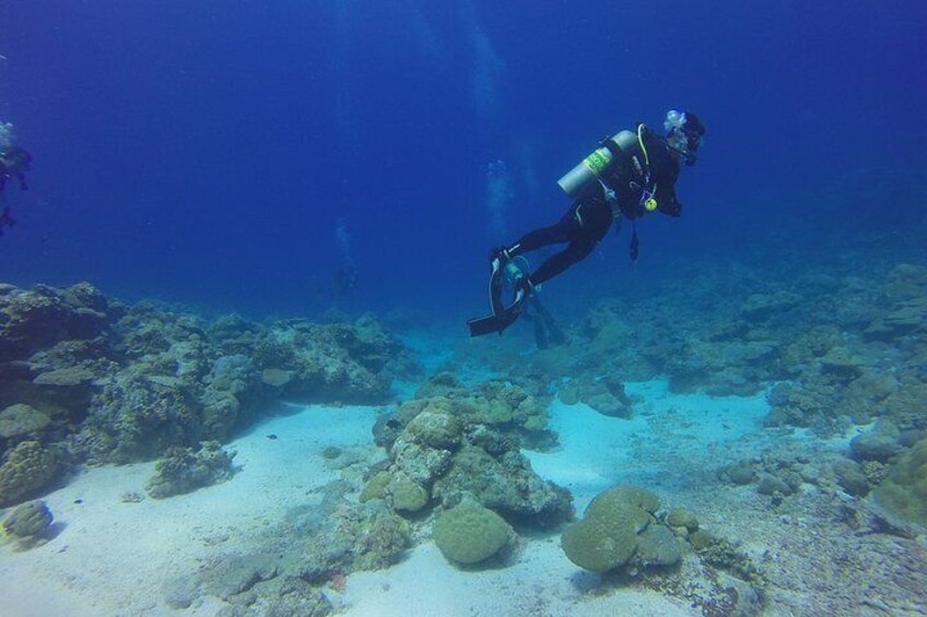 Diving Baptism