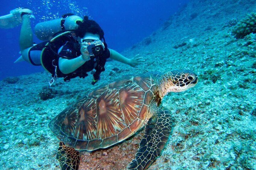 Diving Baptism