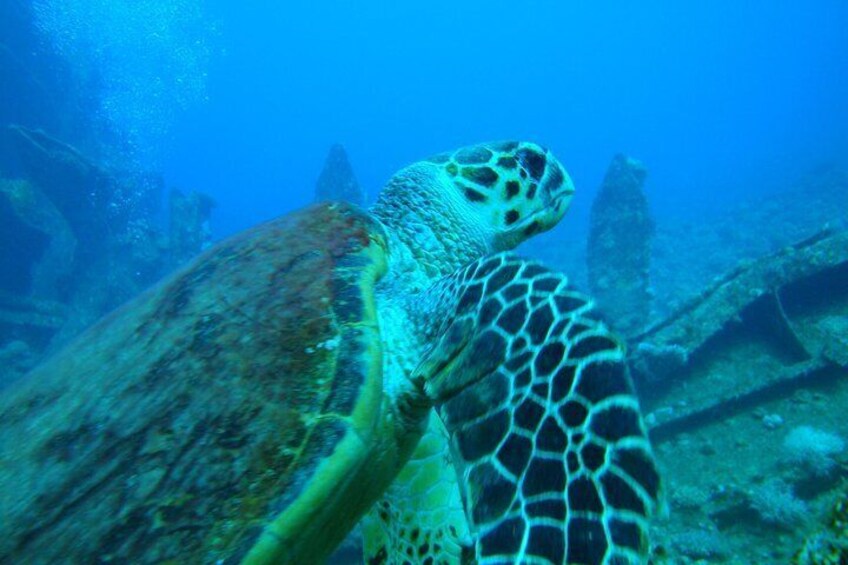 Diving Baptism