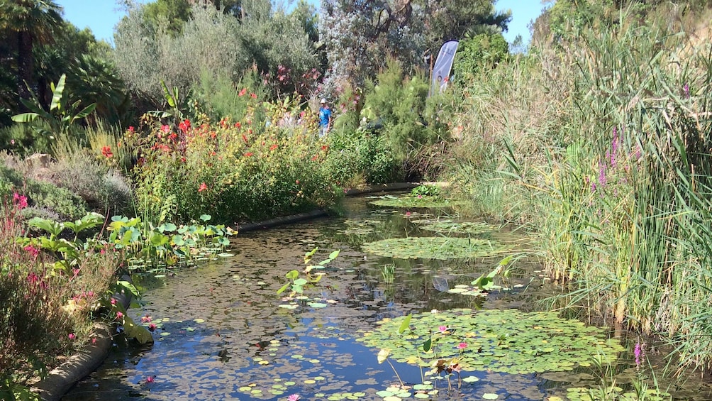 Pond in Costa Brava