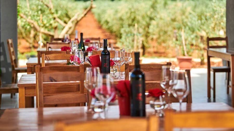 PERVINO - Wine tasting