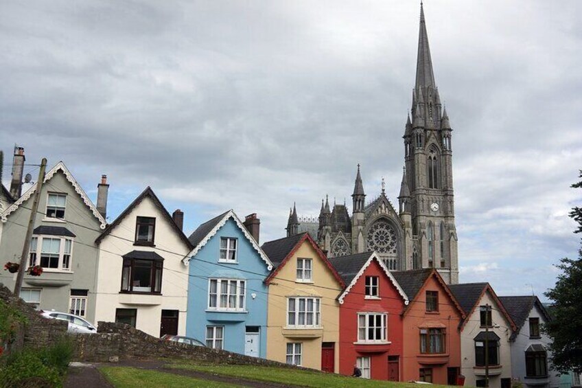 Majestic Walking Christmas tour in Cork