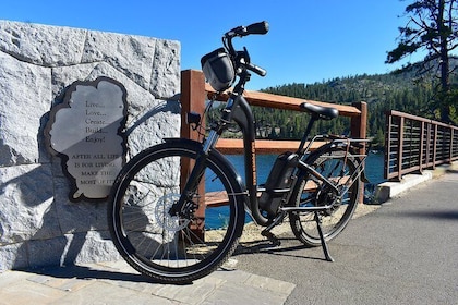 Half-Day Coastal Self-Guided Electric Bike Tour | The Iconic East Shore Tra...