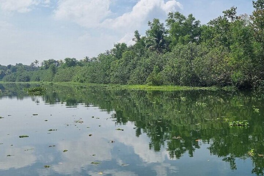 Half Day Village Backwater Eco Country Boat Cruise :Group Tour from Fort Cochin 