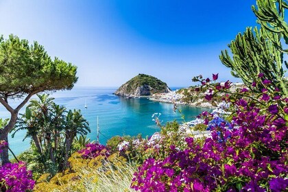 Afternoon Tour of the Island of Ischia by Bus