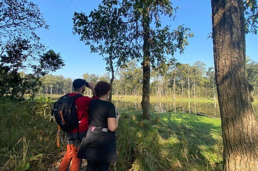1 Night 2 Days Chitwan Jungle Safari Tour from Pokhara or Kathmandu