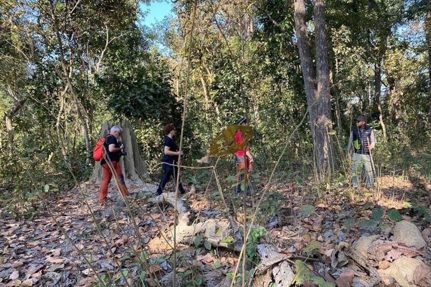 1 Night 2 Days Chitwan Jungle Safari Tour from Pokhara or Kathmandu