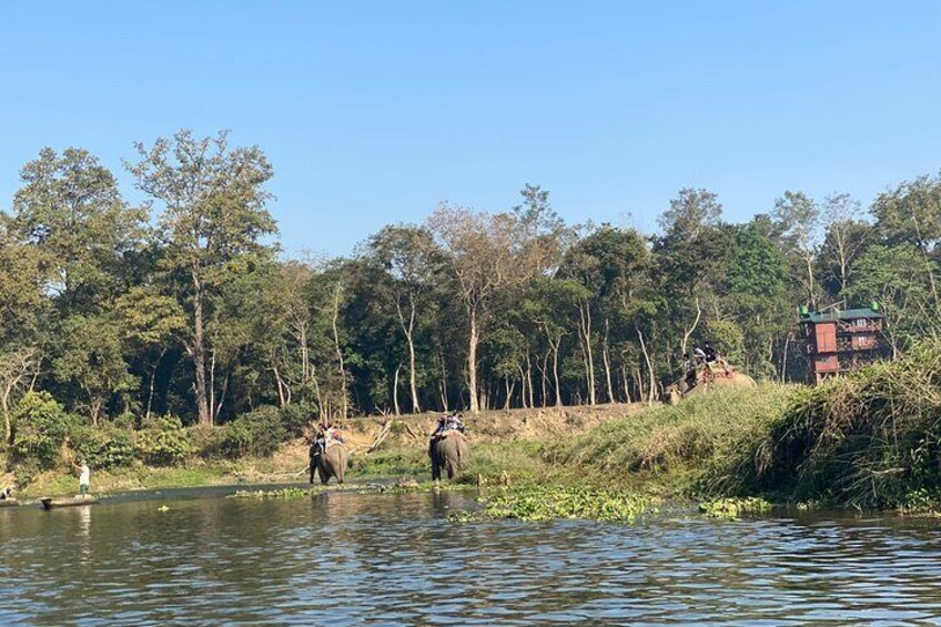 2 Nights 3 Days Chitwan Jungle Safari Tour