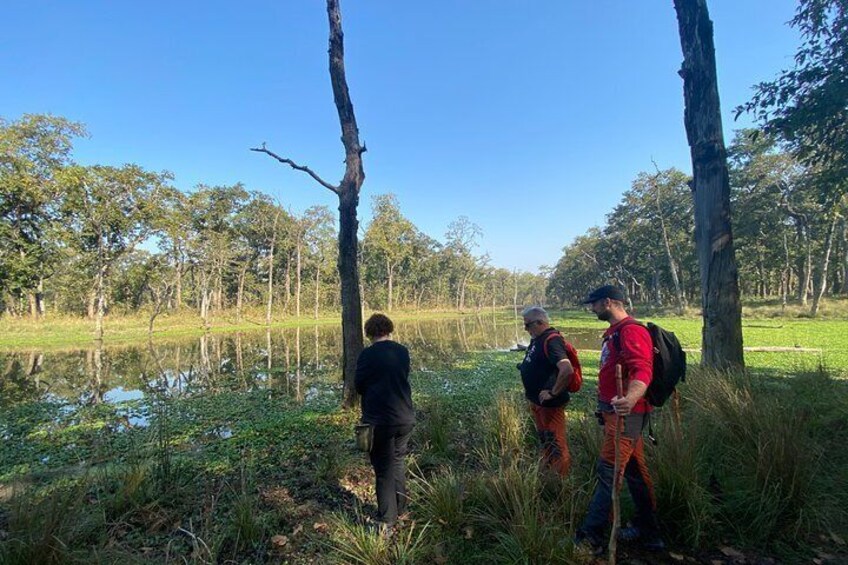 1 Night 2 Days Chitwan Safari Tour