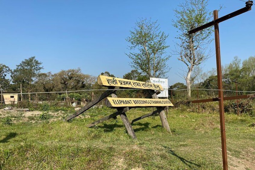 Chitwan jungle safari