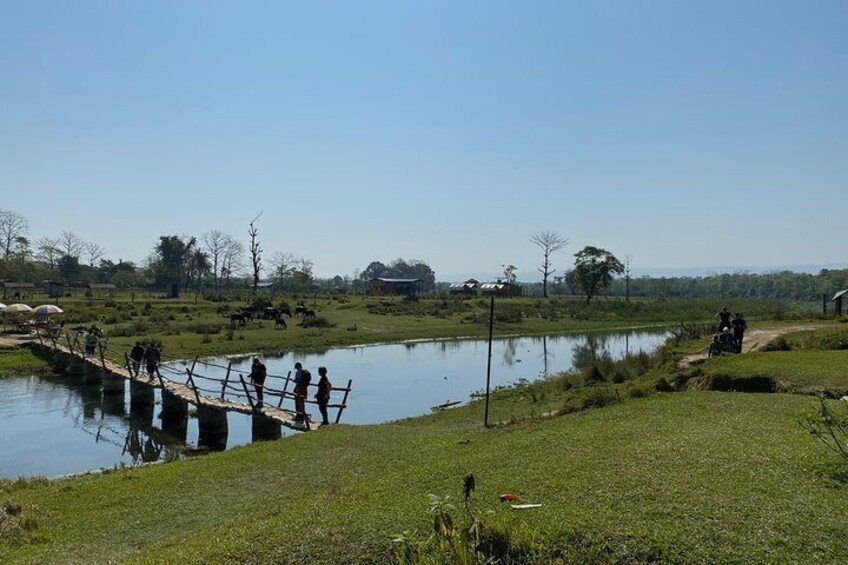 Nature Walk in Chitwan Jungle Safari with Guide