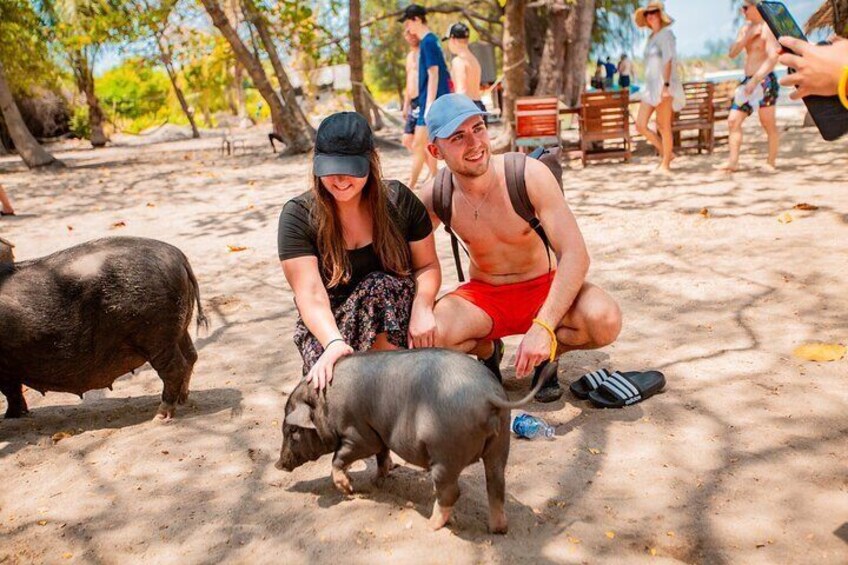 Pig Feeding, Kayaking, Snorkeling Trip at Pig Island By Speedboat From Koh Samui