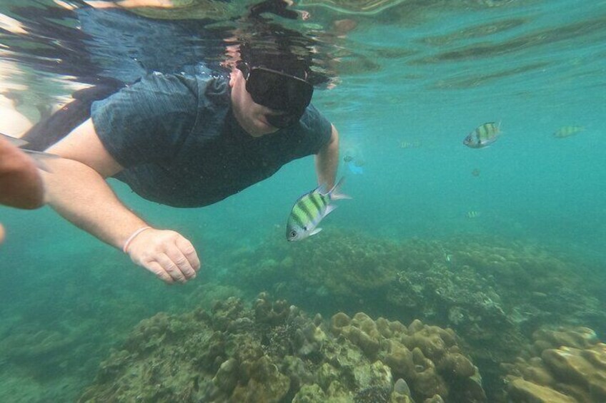 Phi Phi Islands Day Tour : Seaview Lunch by Catamaran/speedboat