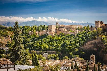 Alhambra Complex Guided Tour Options
